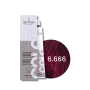 ENVIE HAIR COLOR profesjonalna trwała farba do włosów 100 ml | 6.666 - 2